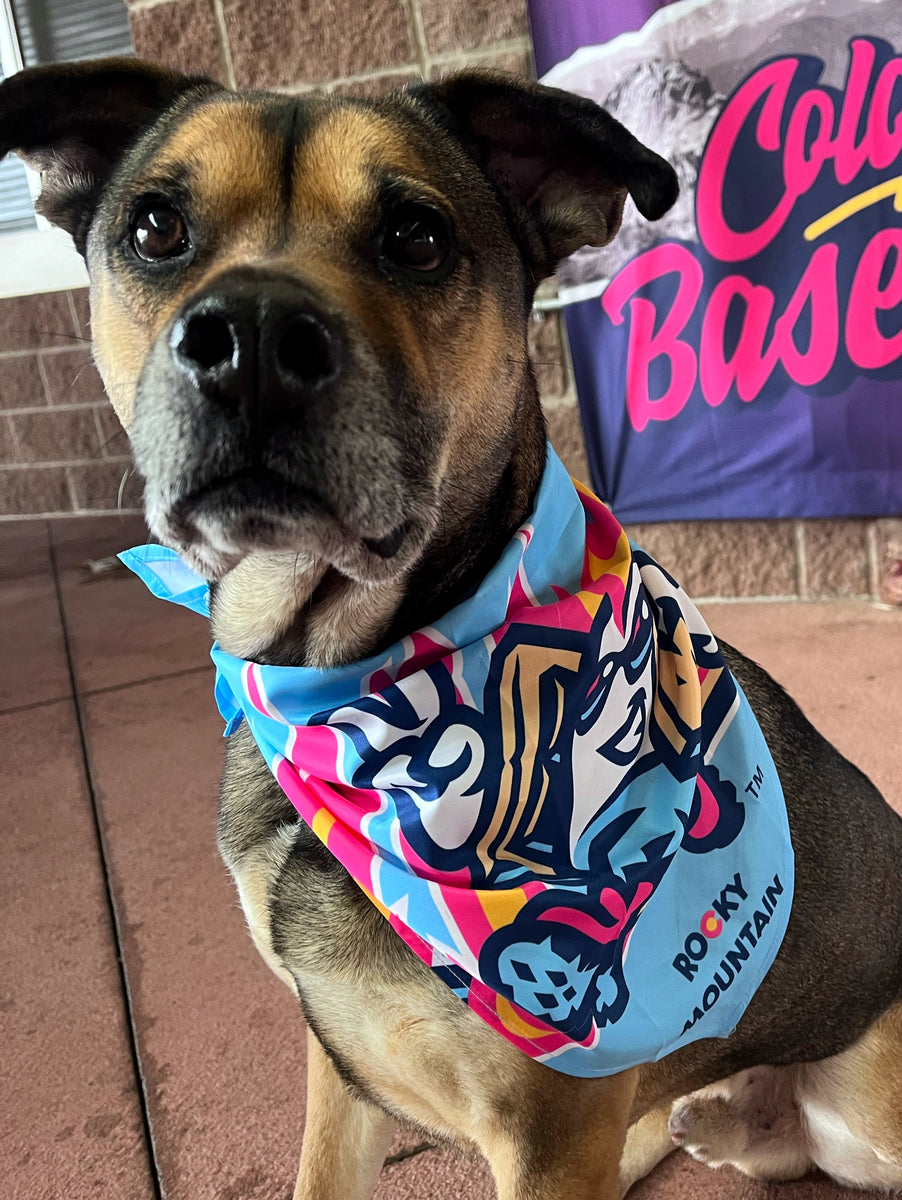 Colorado Rockies Dog Bandana Tie On. Rockies Dog bandana, Rockies Pet  bandana, Rockies Dog bowties, Rookies accessories, Rookies cat Bandana