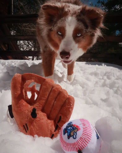 Mitt & Ball Plush Dog Toy