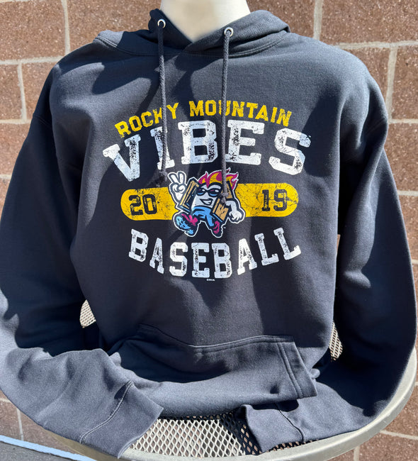 Vibes Established Hoodie