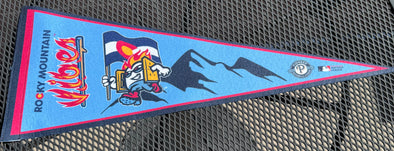 Light Blue Vibes Pennant